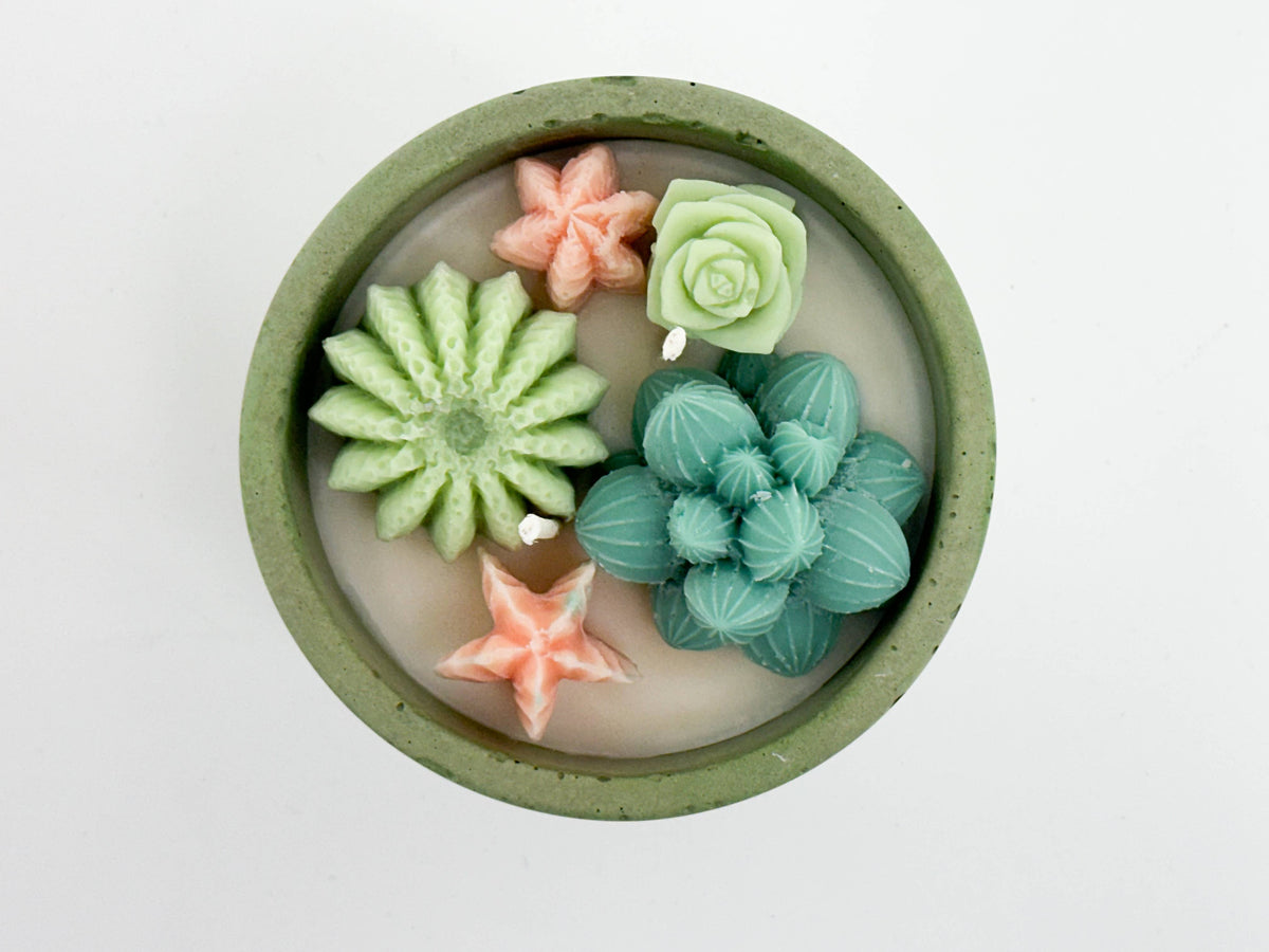Succulent Candle - Concrete Plant Candle