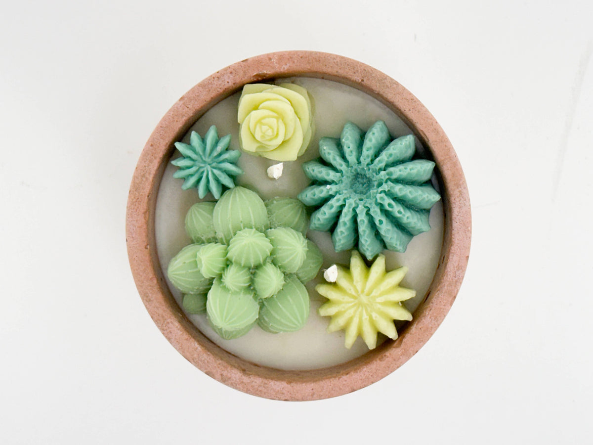 Succulent Candle - Concrete Plant Candle