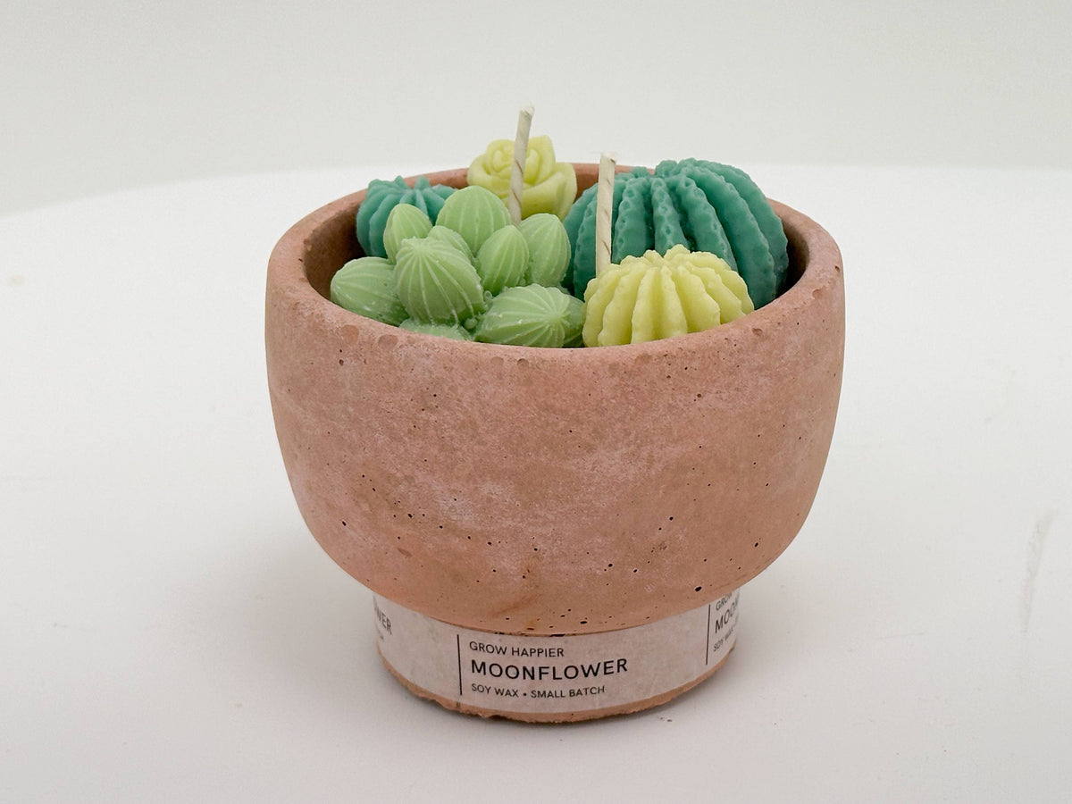 Succulent Candle - Concrete Plant Candle