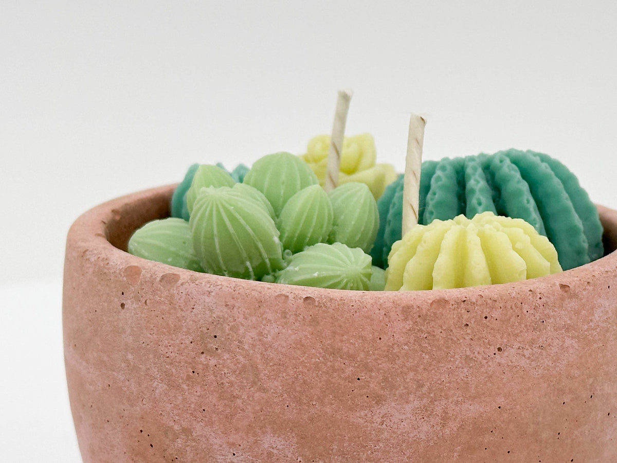 Succulent Candle - Concrete Plant Candle 
