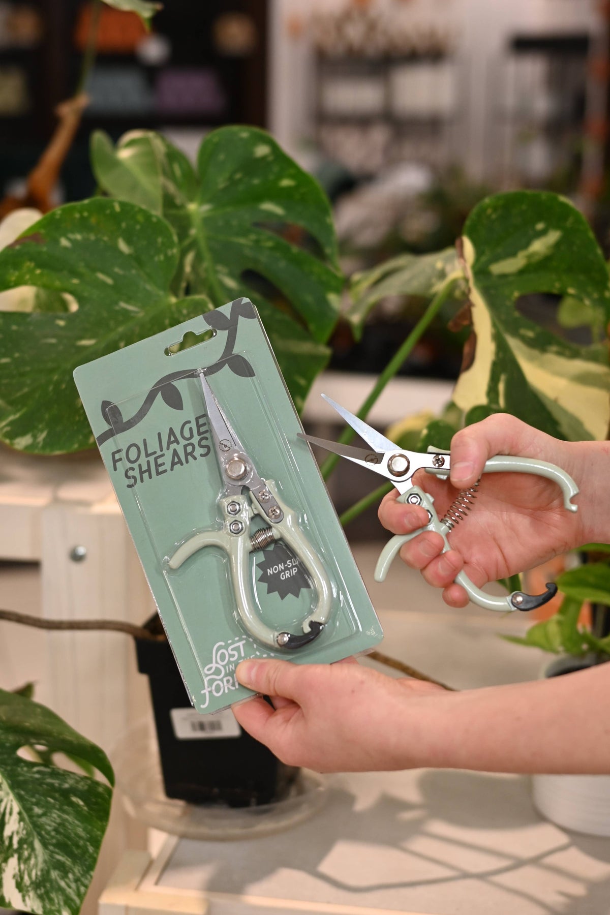 Foliage Shears