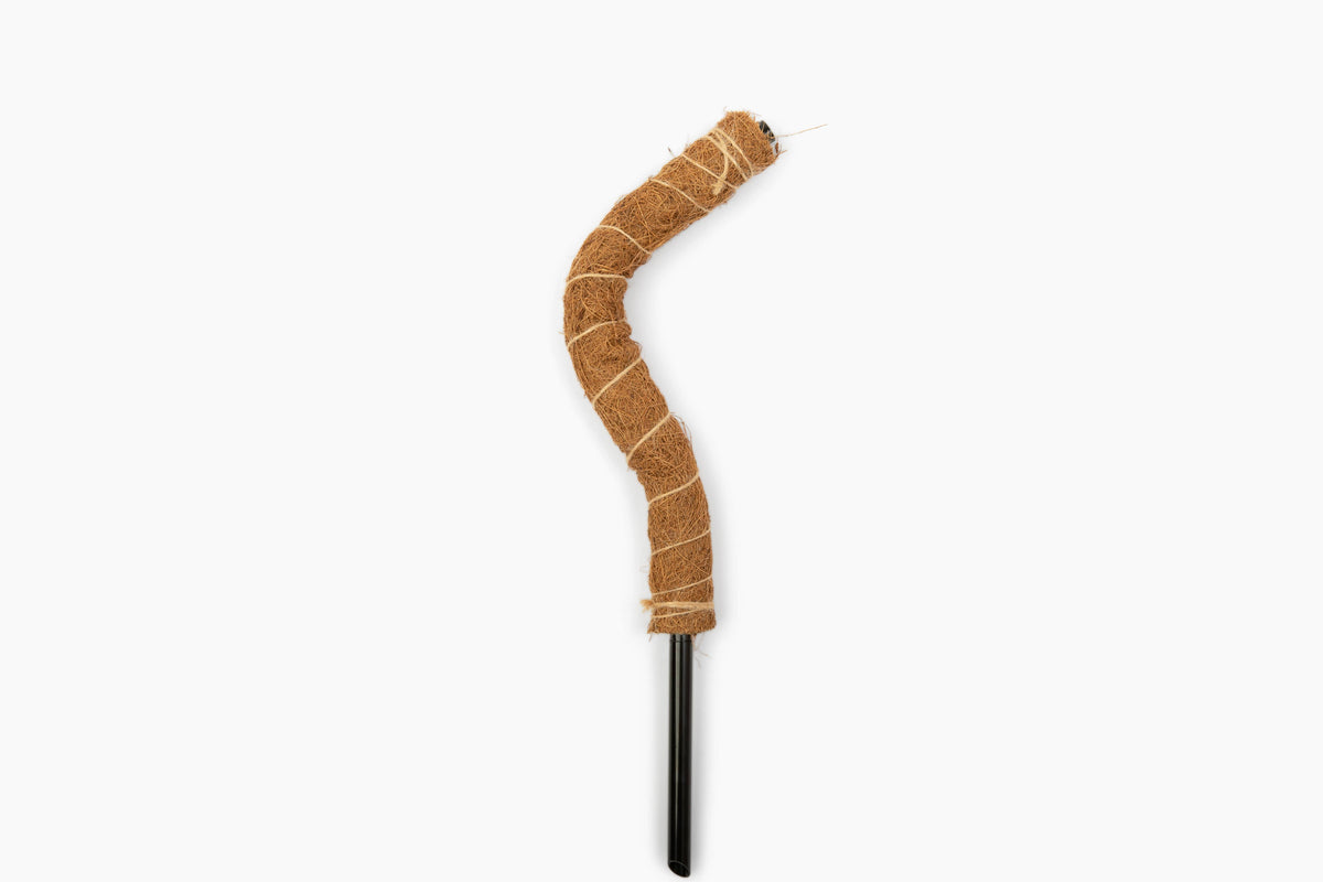 Coconut Coir Bendable Grow Pole 16"