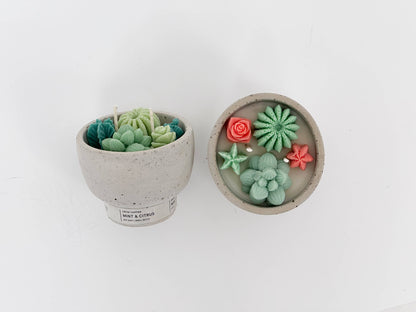Succulent Candle - Concrete Plant Candle 