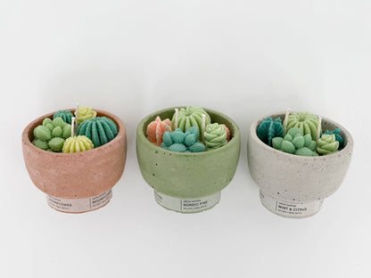 Succulent Candle - Concrete Plant Candle 