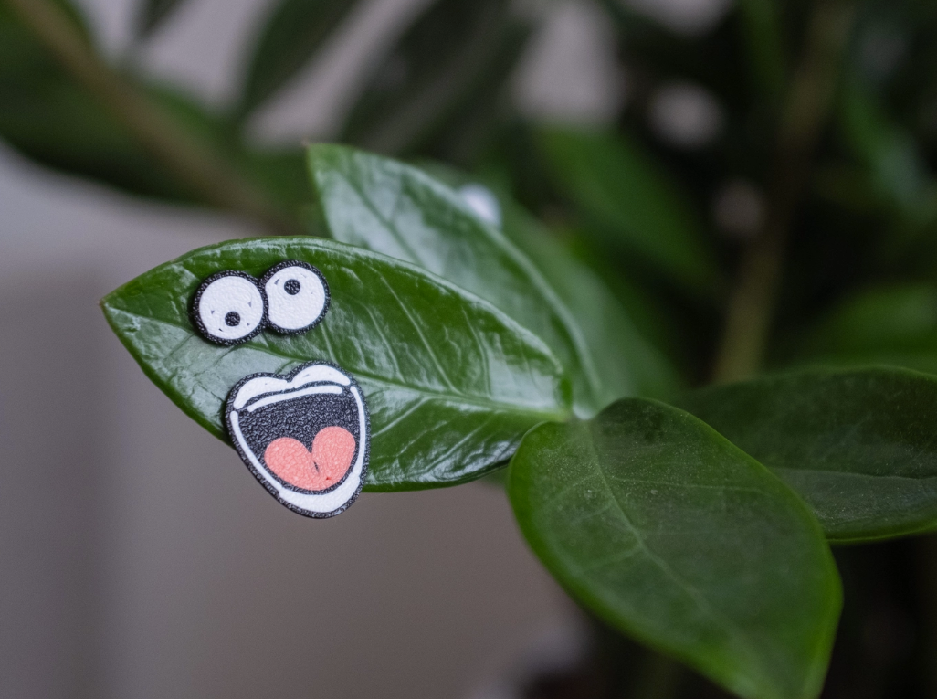 Plant Face Magnets | Charm Googly Eyes for leaves Magnetic