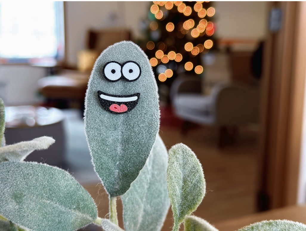 Plant Face Magnets | Charm Googly Eyes for leaves Magnetic