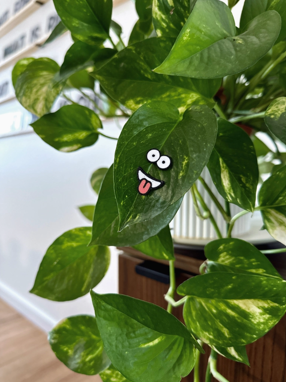 Plant Face Magnets | Charm Googly Eyes for leaves Magnetic