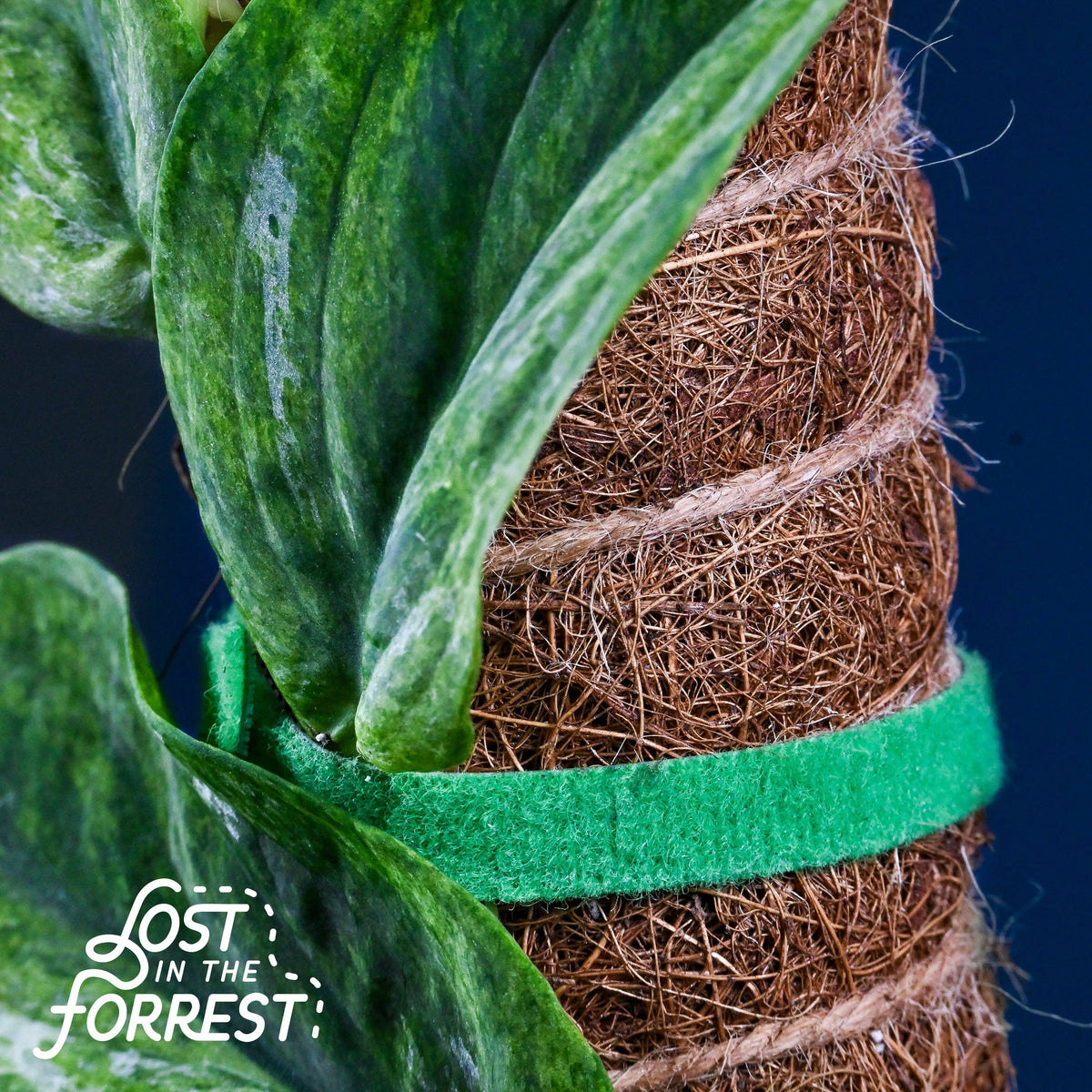Plant Tape
