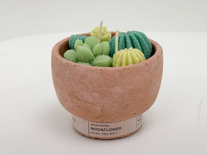 Succulent Candle - Concrete Plant Candle 