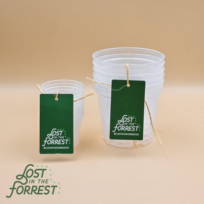Clear Nursery Pots